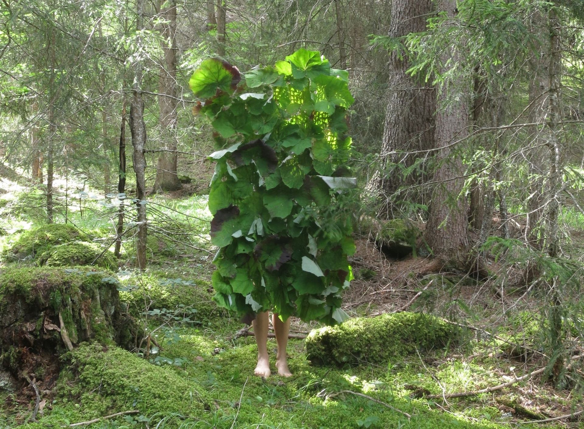 Eine Person steht im Wald hinter Blättern