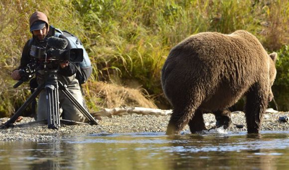 ein Mann filmt einen Braunbär in einem Fluss